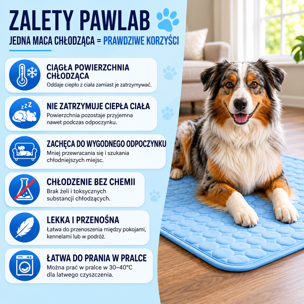 Chłodna Mata - Chłodząca Mata dla Psa™