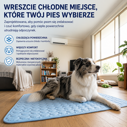 Chłodna Mata - Chłodząca Mata dla Psa™