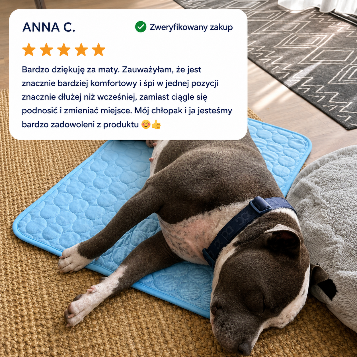 Chłodna Mata - Chłodząca Mata dla Psa™