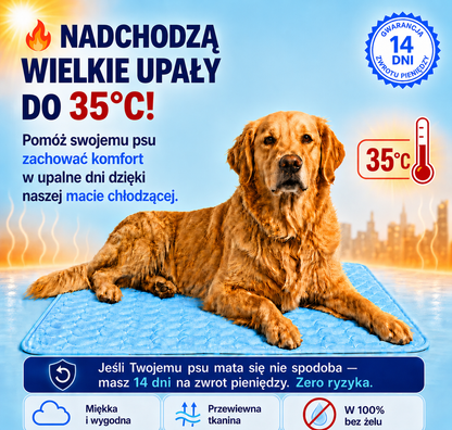 Chłodna Mata - Chłodząca Mata dla Psa™